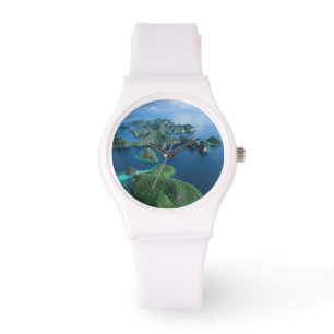 Montre Indonésie, Papouasie occidentale. Vue aérienne de