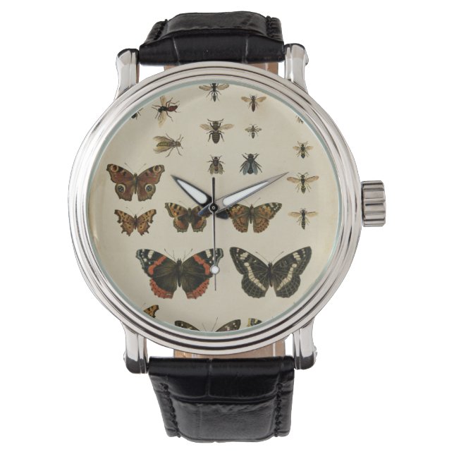 Montre Insectes de jardin par Vision Studio (devant)