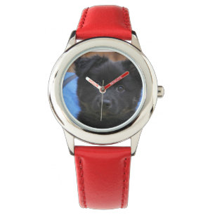 Montre Islandhund - Islandandic Sheepdog