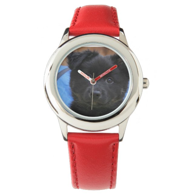 Montre Islandhund - Islandandic Sheepdog (devant)