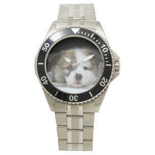 Montre Islandhund - Islandandic Sheepdog