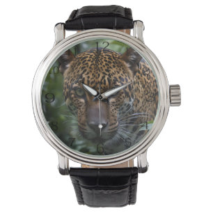 Montre Jaguar Sauvage En Forêt,