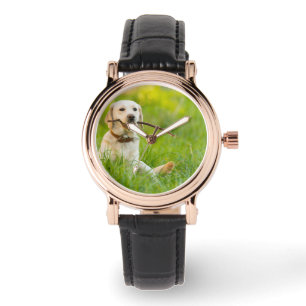 Montre Jaune Labrador Joue Récupérer Avec Bâton
