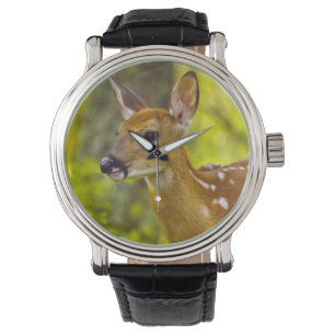 Montre Jeune cerf de Virginie à Whitefish, Montana, États