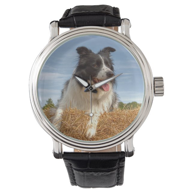 Montre Joli Collie Chien (devant)