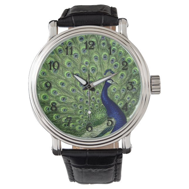 Montre Joli Peacock (devant)