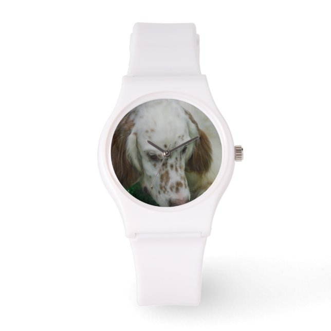 Montre Joli Setter anglais (Recto)