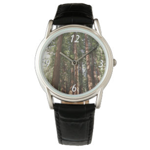 Montre Jusqu'aux séquoias II à Muir Woods National Monume