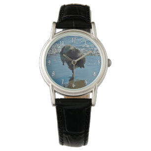 Montre Keeshond Ballet Photographie - Joli chien d'origin