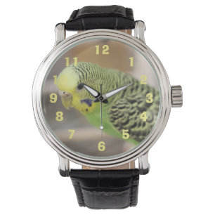 Montre Kiwi