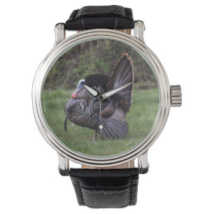 Montre La Turquie sauvage