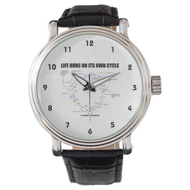 Montre La Vie Fonctionne Sur Son Propre Cycle Krebs Cycle (devant)