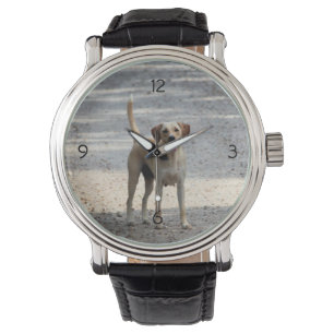 Montre Laboratoire
