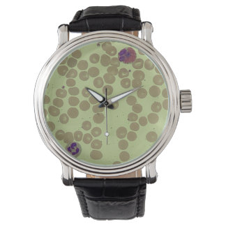 Montre Laboratoire d'hématologie du microscope à diaposit