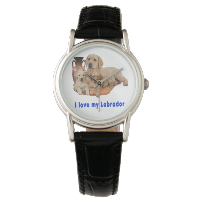 Montre Labrador Retriever (devant)