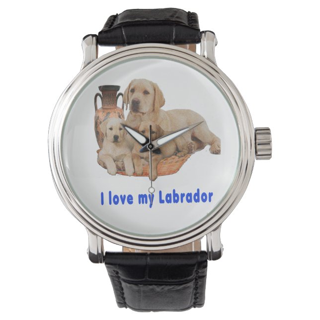 Montre Labrador Retriever (devant)