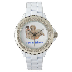 Montre Labrador Retriever
