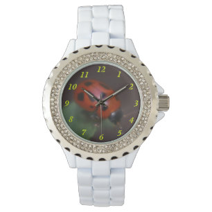 Montre Ladybug
