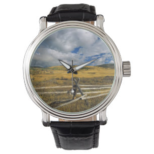 Montre Le bâti Haggin NWR s'approchent de l'anaconda