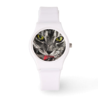 Montre Le chat lèchent
