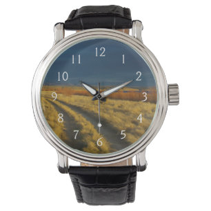 Montre Le coucher de soleil met en valeur l'écorce rouge