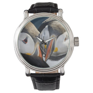 Montre Le Macareux atlantique, un oiseau marin pélagique
