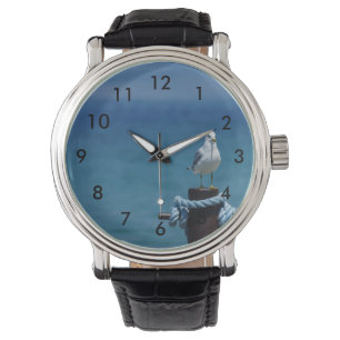 Montre Le Paradis Des Mouettes À Mackinac