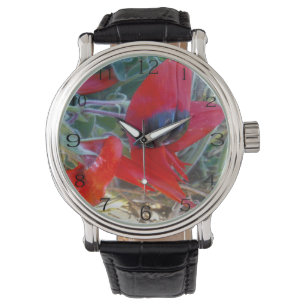 Montre Le pois du désert australien Sturts,