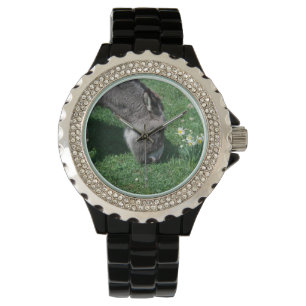 Montre Les ânes ne mangent pas de jonquilles sauvages
