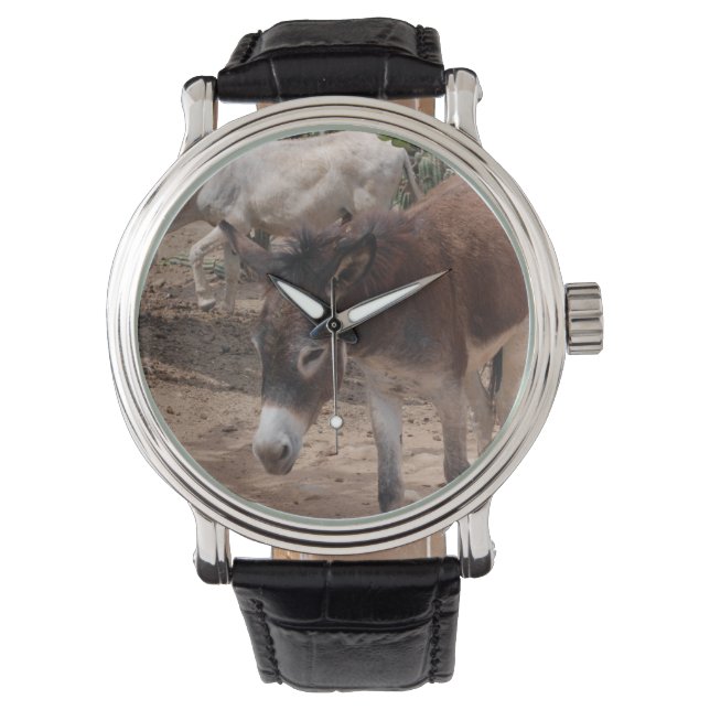 Montre Les ânes sauvages (devant)