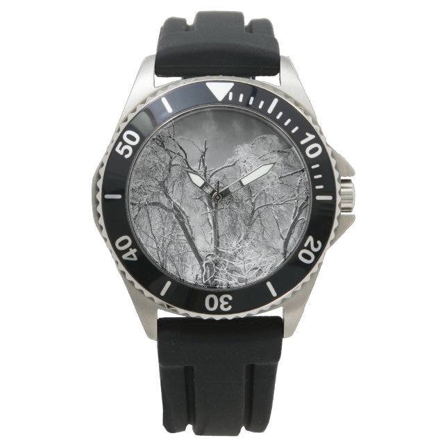 Montre les arbres l'hiver (devant)