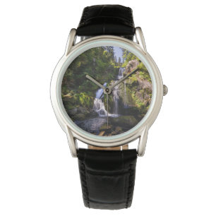 Montre Les cascades   Triberger Wasserfälle, Allemagne