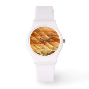 Montre Les Collines Peintes Dans Les Lits Fossiles Du Jou