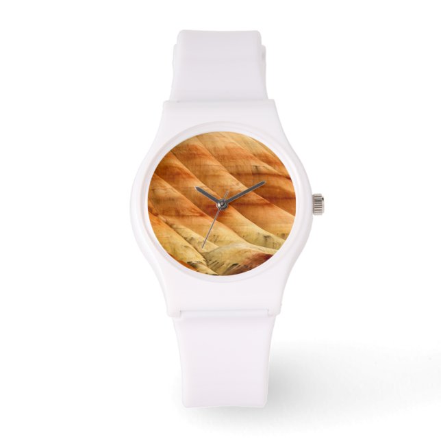 Montre Les Collines Peintes Dans Les Lits Fossiles Du Jou (Recto)