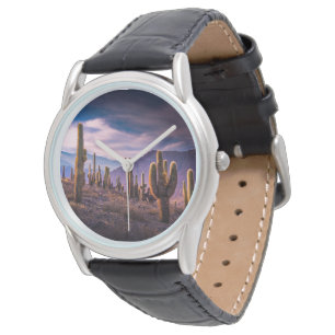Montre Les déserts   Cactus Paysage Argentine