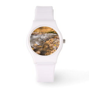 Montre Les rétrécissements de la rivière Virgin en automn