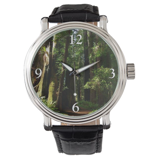 Montre Les séquoias et les fougères du parc national Redw (devant)