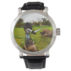 Montre "L'interruption de plumes : la grande photo-omb d'