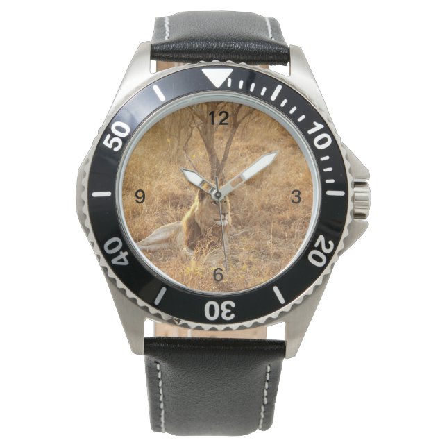 Montre Lion (devant)