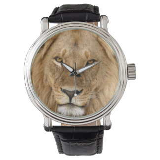 Montre Lion à grande crinière