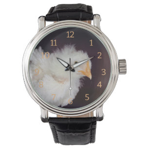 Montre Liquide