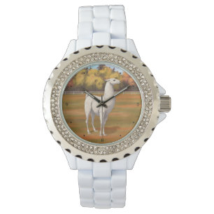 Montre Llama blanche dans les pâturages agricoles d'autom