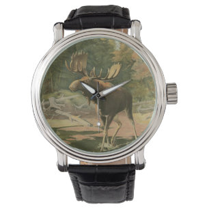 Montre L'orignal marche dans l'eau