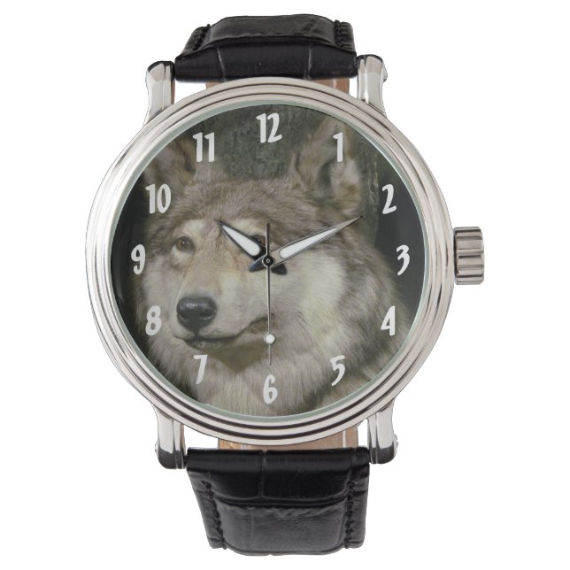 Montre Loup (devant)