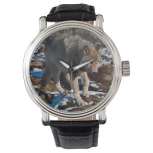 Montre Loup de bois