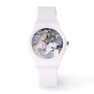 Montre Loup Gris, Canis lupus, Animal de cinéma Utah)