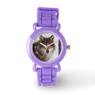 Montre Loup gris européen