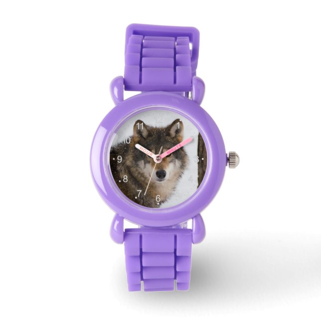 Montre Loup gris européen (Recto)