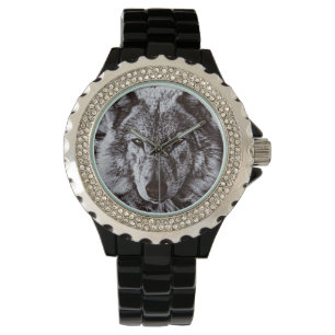 Montre Loup gris face à la faune