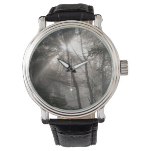 Montre Lumière Solaire À Travers Les Arbres Bois Sombre